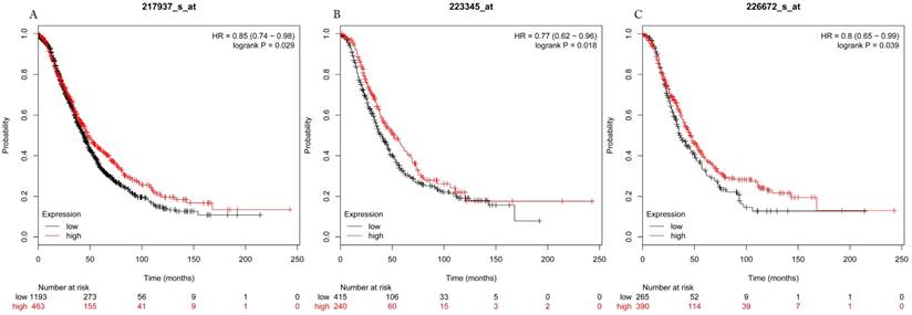 J Cancer Image