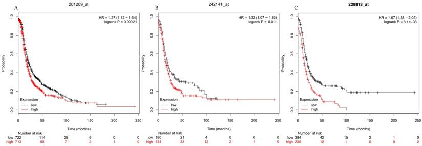 J Cancer Image