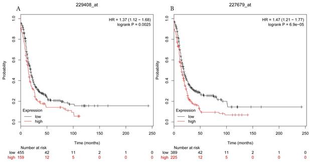 J Cancer Image