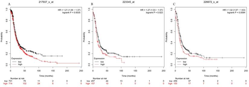 J Cancer Image