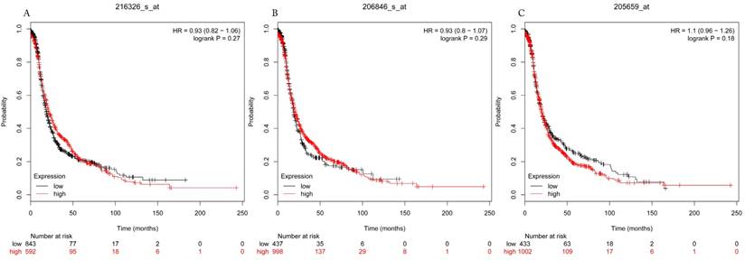 J Cancer Image