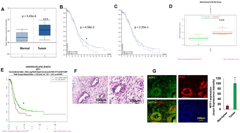 J Cancer Image