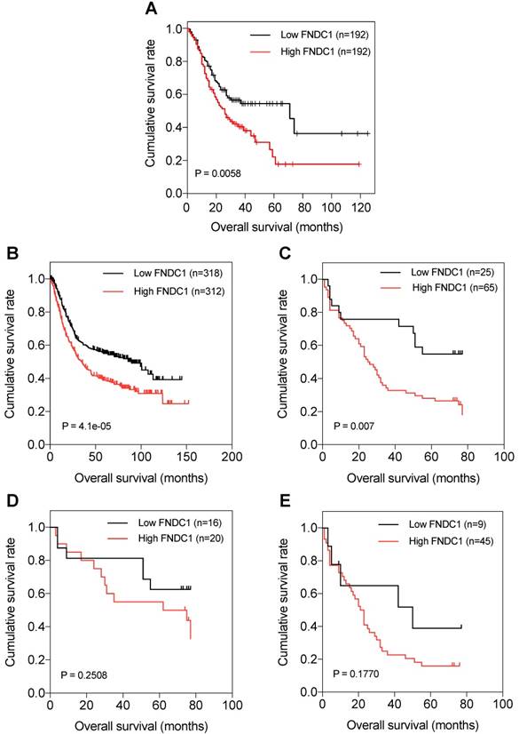 J Cancer Image