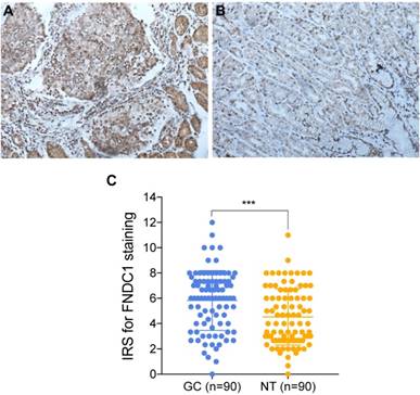 J Cancer Image