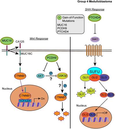 J Cancer Image