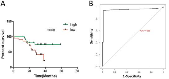 J Cancer Image