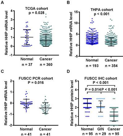 J Cancer Image