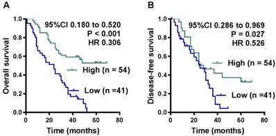 J Cancer Image