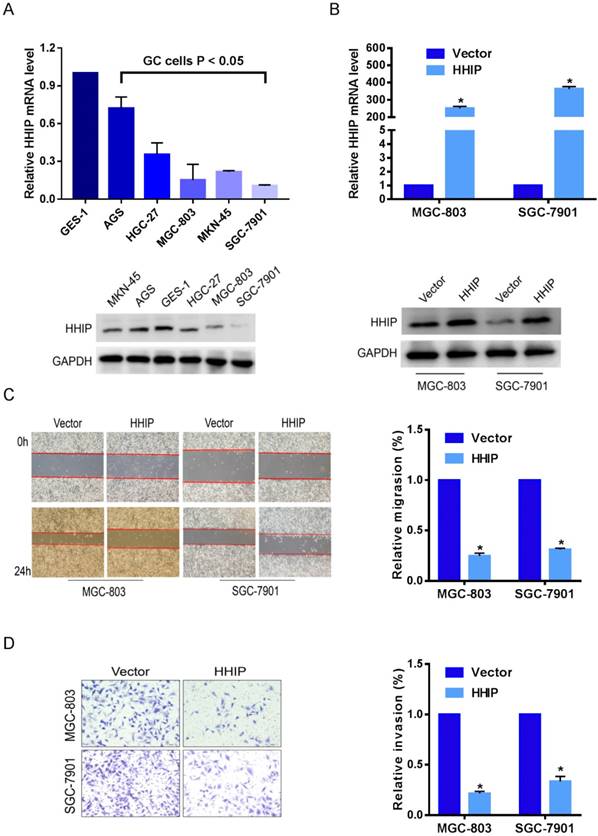 J Cancer Image