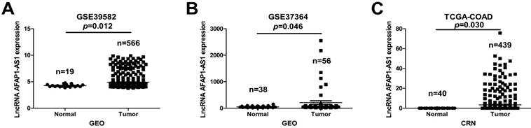 J Cancer Image