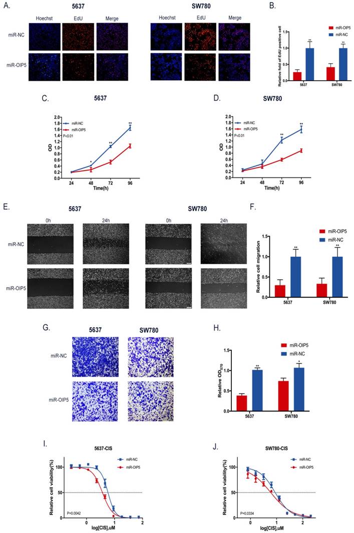 J Cancer Image