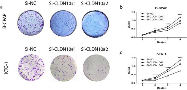 J Cancer Image