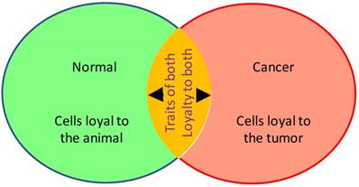 J Cancer Image