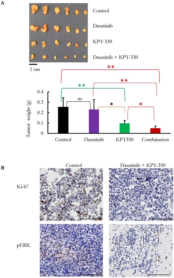 J Cancer Image