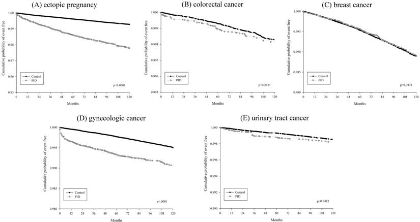 J Cancer Image