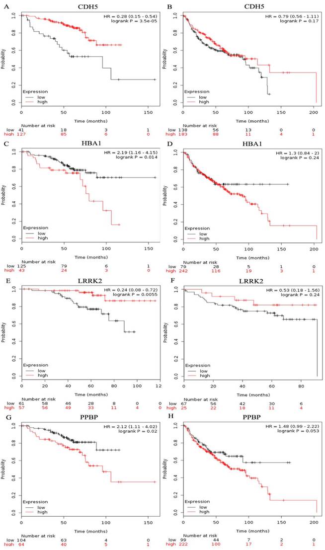 J Cancer Image