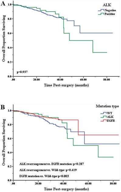 J Cancer Image