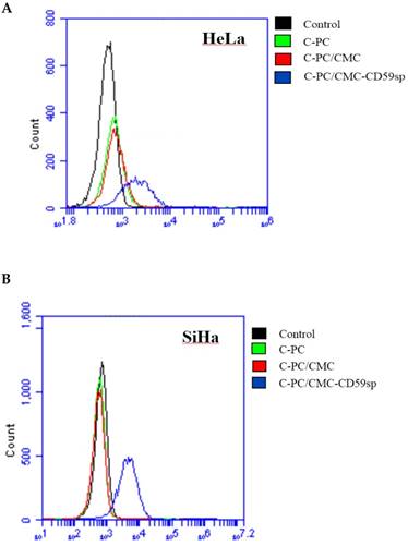 J Cancer Image