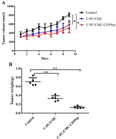 J Cancer Image