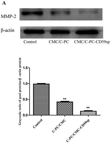 J Cancer Image