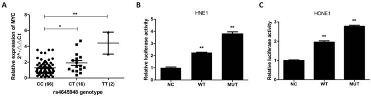 J Cancer Image