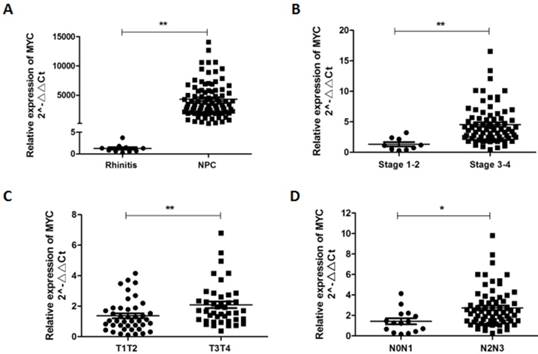 J Cancer Image