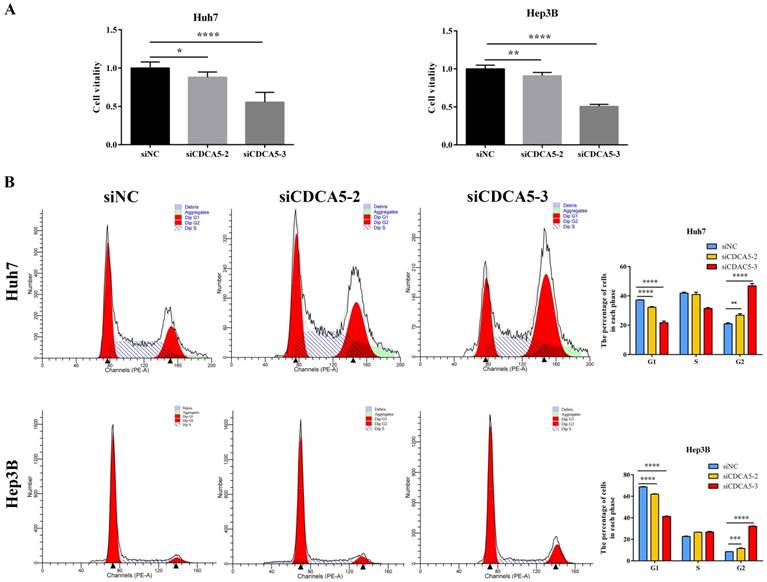 J Cancer Image