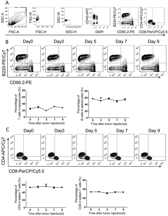 J Cancer Image