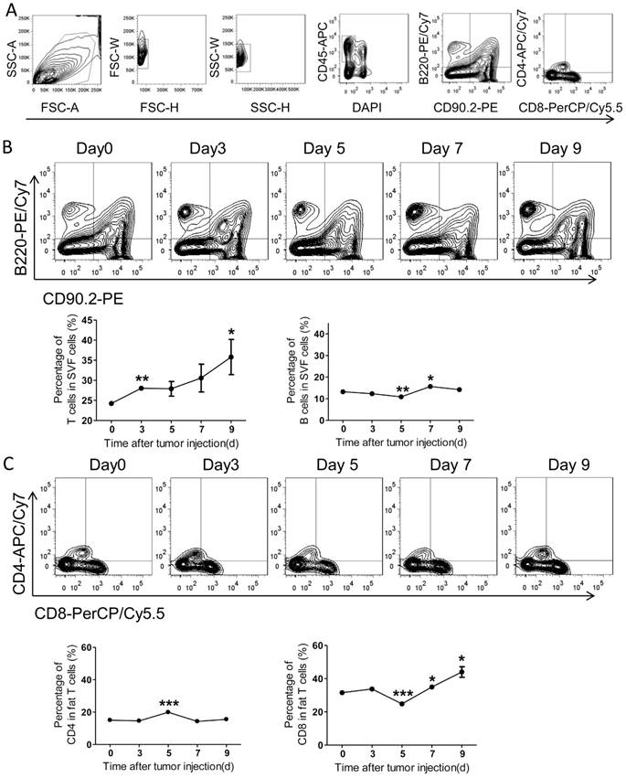 J Cancer Image