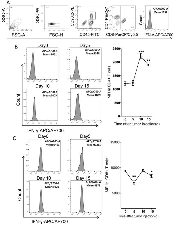 J Cancer Image