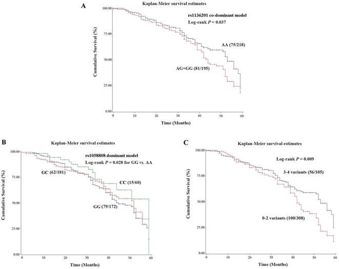 J Cancer Image