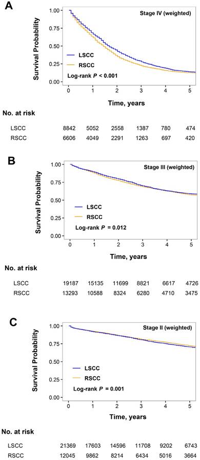 J Cancer Image