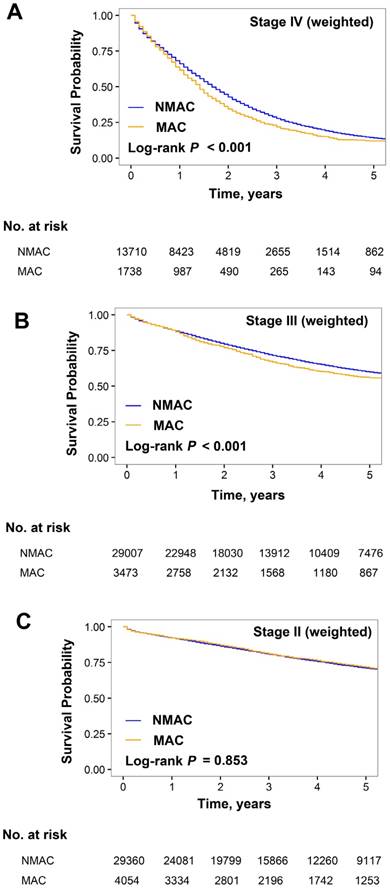 J Cancer Image