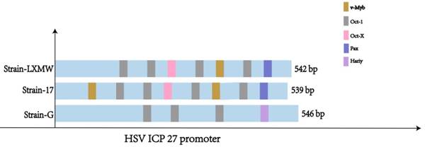 J Cancer Image