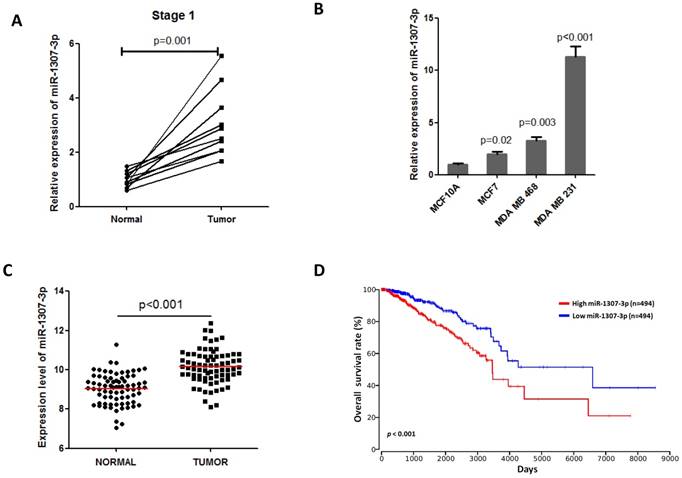 J Cancer Image