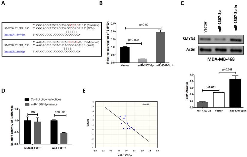 J Cancer Image