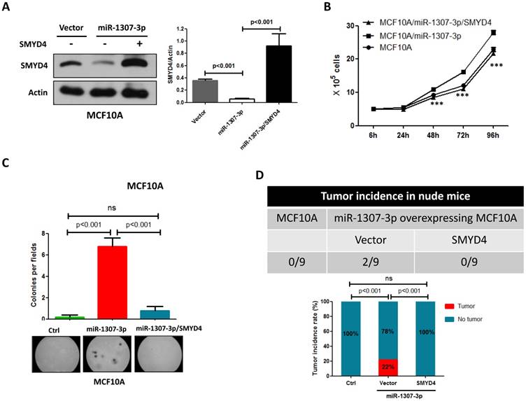 J Cancer Image