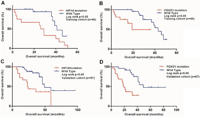 J Cancer Image