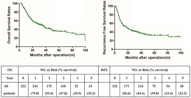 J Cancer Image