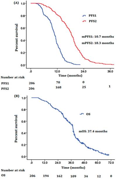 J Cancer Image