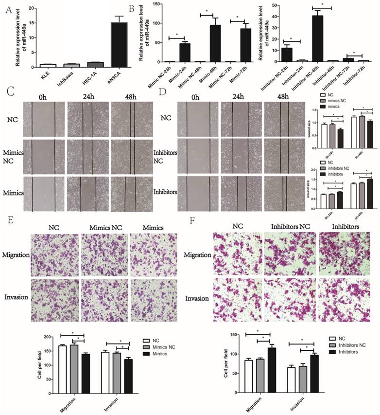 J Cancer Image