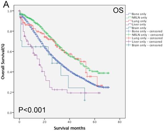 J Cancer Image