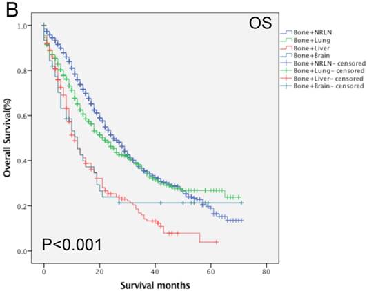 J Cancer Image