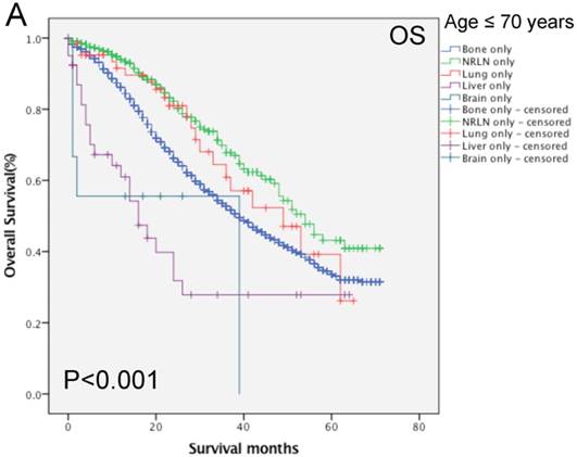 J Cancer Image