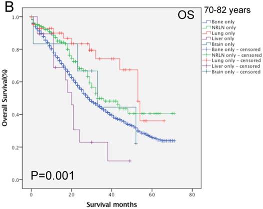 J Cancer Image