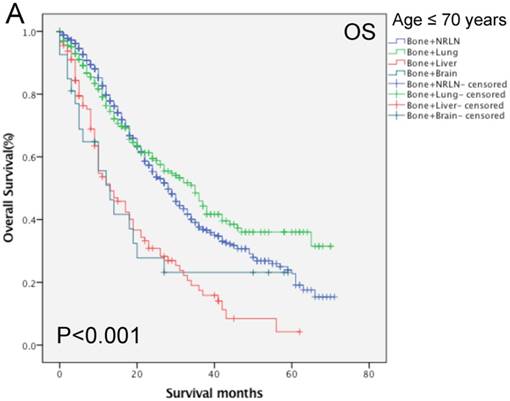 J Cancer Image