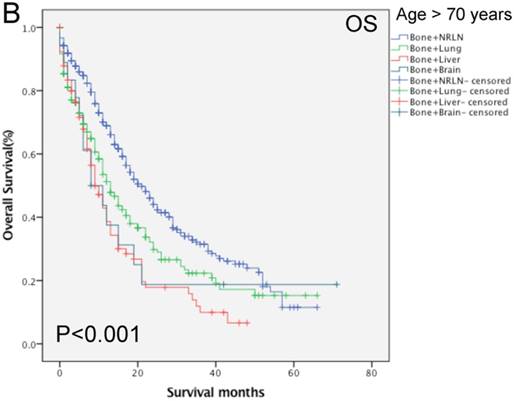 J Cancer Image