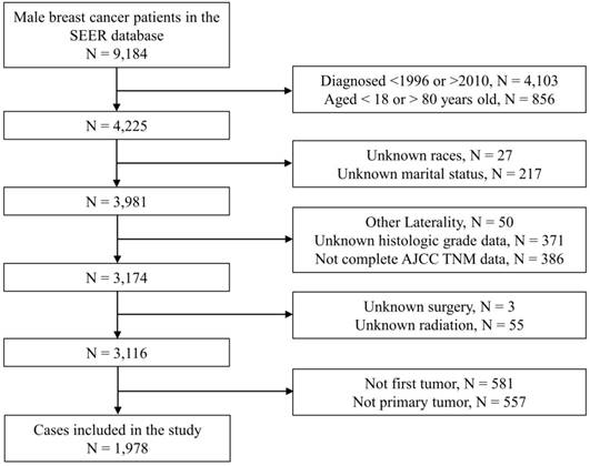 J Cancer Image