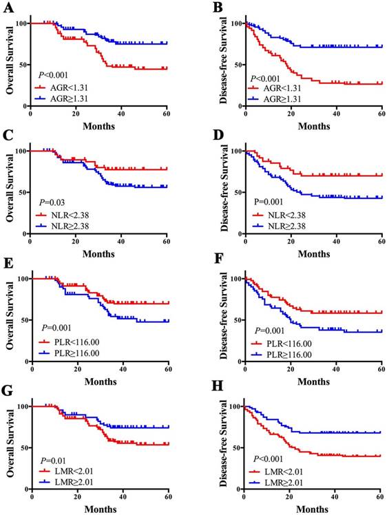 J Cancer Image