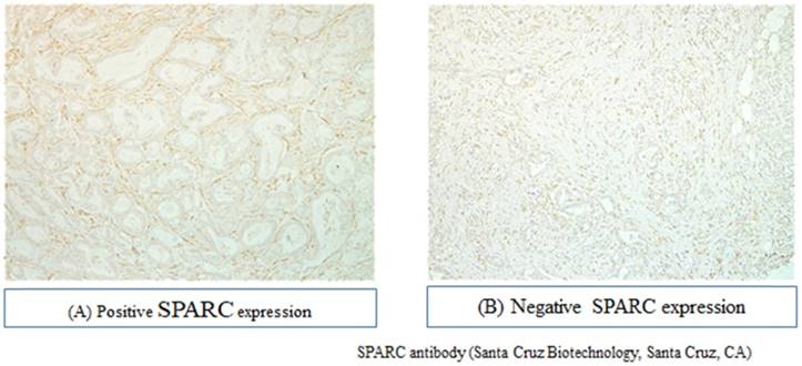 J Cancer Image